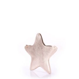 Косметичка-клатч POOLPARTY star-gold